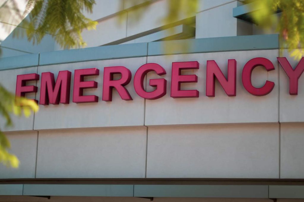 Los Angeles, CA - Two Men Hurt in Dog Attack in Warner Park